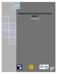 Bangladesh Social Enterprise Project - Bangladesh Enterprise Institute