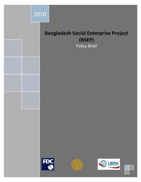 Bangladesh Social Enterprise Project - Bangladesh Enterprise Institute