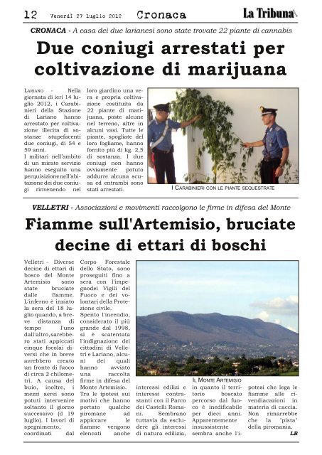 Comune sommerso dalle consulenze - La Tribuna dei Castelli