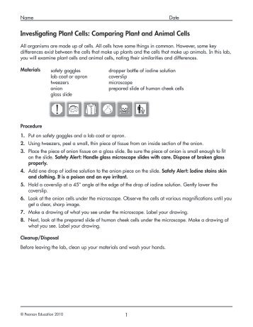 Investigating Plant Cells: Comparing Plant and Animal Cells