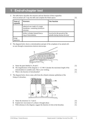 1 End-of-chapter test - Macmillan Academy