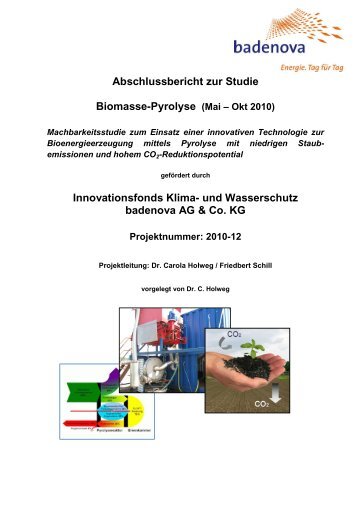 Abschlussbericht zur Studie Biomasse-Pyrolyse