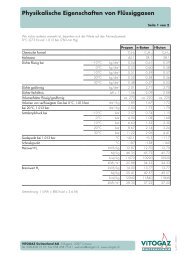 Ip_07 Physikalische Eigenschaften von Flüssiggas.indd - VITOGAZ ...