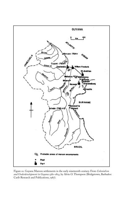 60199616-flight-to-freedom-african-runaways-and-maroons-in-the-americas