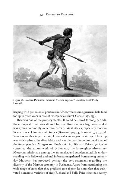 60199616-flight-to-freedom-african-runaways-and-maroons-in-the-americas
