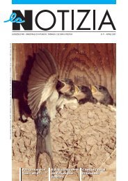 N.71 aprile (4,25Mb Pdf) - la Notizia