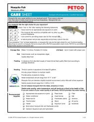 mosquito fish petco