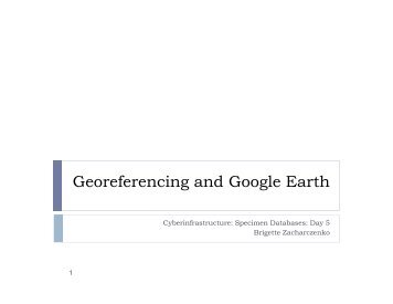 Georeferencing and Google Earth