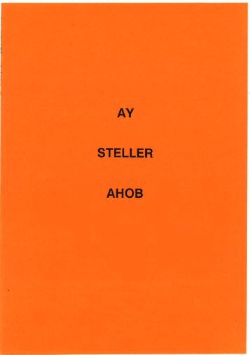 AHOB met AY Steller - irse.nl