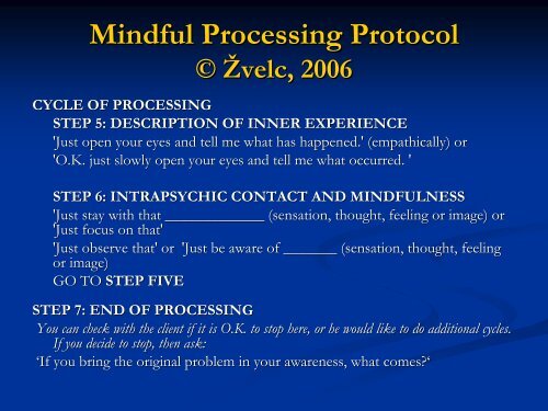 Use of Mindful Processing - IPSA