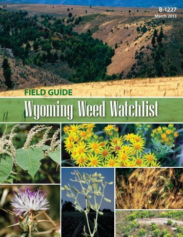 Wyoming Weed Watchlist Field Guide - Coming Soon!