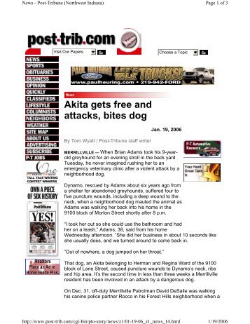 Akita gets free and attacks, bites dog - Understand-A-Bull