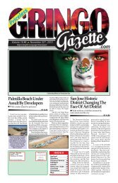 November 22nd 2010 - the Gringo Gazette