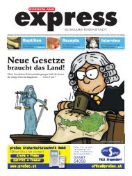 Die Zeitung zum Download als PDF (Ausgabe Eisenstadt)
