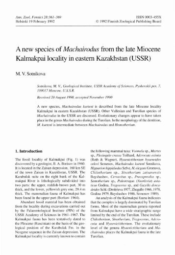 A new species of Machairodus from the late Miocene Kalmakpai ...