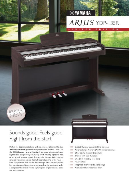 YAMAHA アリウス YDP-135 | chevroletrcristofano.com.uy