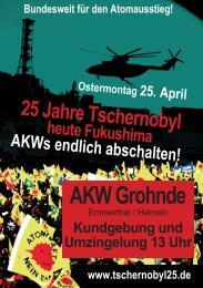 Flyer zum 25.04.2011 - Bund Hameln-Pyrmont