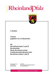 Lehrplan Chemie gegliedert in Lernbausteine fÃ¼r Berufsfachschule I ...