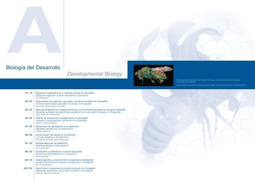 Drosophila - Severo Ochoa - Universidad AutÃ³noma de Madrid