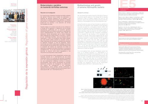 Drosophila - Severo Ochoa - Universidad AutÃ³noma de Madrid