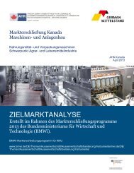 ZIELMARKTANALYSE - iXPOS