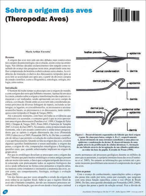 Sobre a origem das aves - Atualidades Ornitológicas