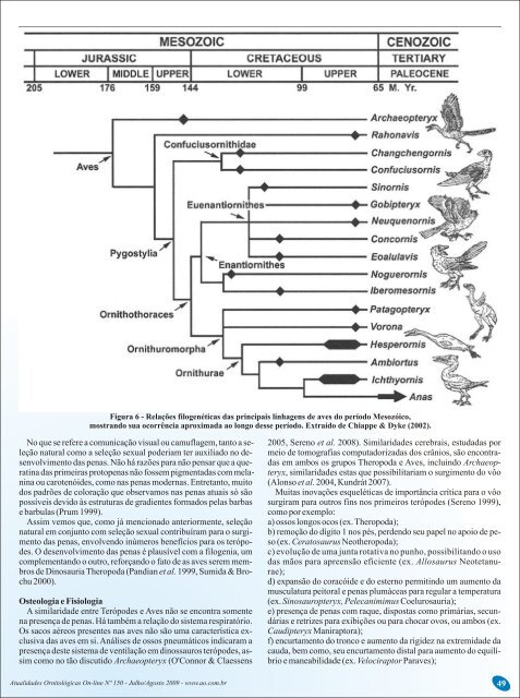 Sobre a origem das aves - Atualidades Ornitológicas