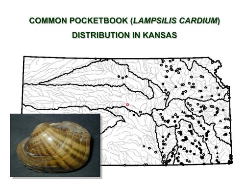 historical changes in the occurrence and distribution of freshwater ...