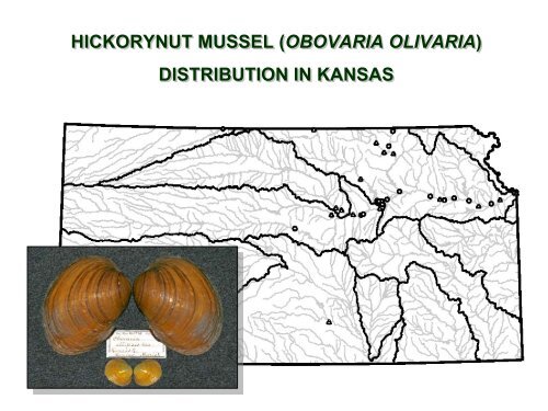 historical changes in the occurrence and distribution of freshwater ...