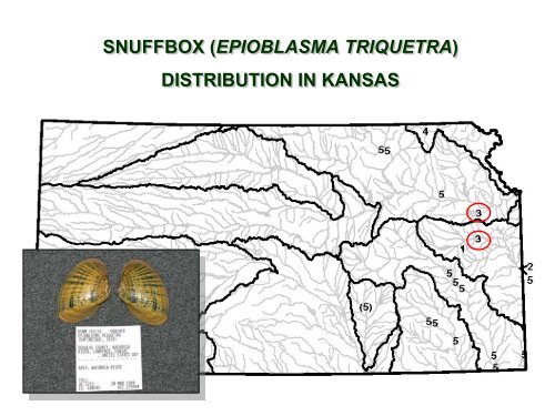 historical changes in the occurrence and distribution of freshwater ...