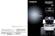 Olympus BX-51 brochure