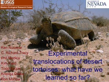Experimental translocations of desert tortoises: what have we ...