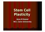 Stem Cell Plasticity - NCI