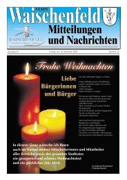 Mitteilungen und Nachrichten STADT Mitteilungen ... - Waischenfeld