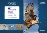 Sapphire ED - HS Imaging GmbH