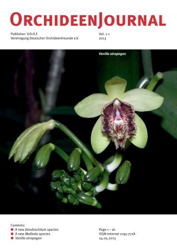 A new Dendrochilum Species (Orchidaceae) from the ... - VDOF eV