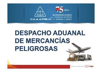 2PPTDESPACHO DE MERCANCIAS PELIGROSAS ... - Expo Carga