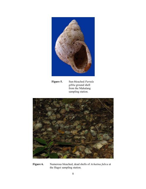 Taxonomic inventories and assessments of terrestrial snails on the ...