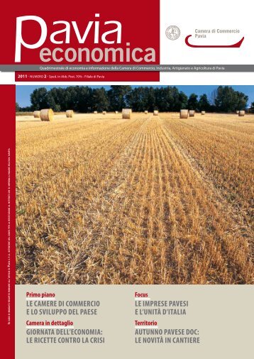 Scarica il file completo - CCIAA di Pavia - Camere di Commercio