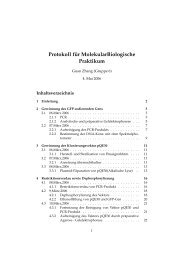 Protokoll f Â¨ur MolekularBiologische Praktikum - stinfwww