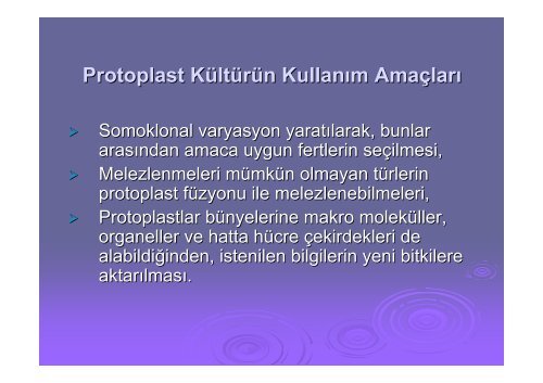 Protoplast KÃ¼ltÃ¼rÃ¼ YapÄ±lÄ±ÅÄ±