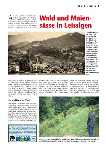 Wald und Maien- sässe in Leissigen - Slf