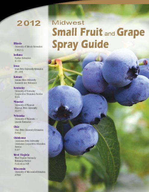 2012 Midwest Small Fruit and Grape Spray Guide - Purdue ...