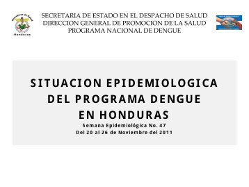 Situcion Dengue 47.pdf - Secretaria de Salud