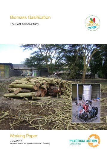Biomass Gasification Working Paper - Pisces