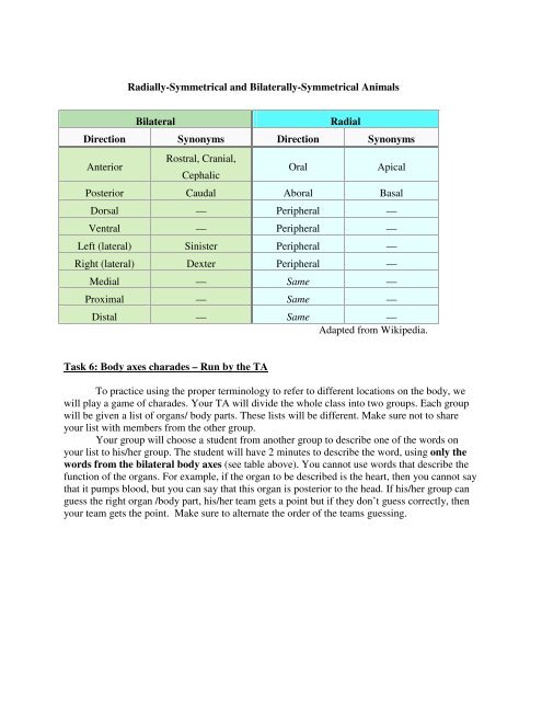 Lab #7: Introduction to the Kingdom Animalia Objectives: 1 ...