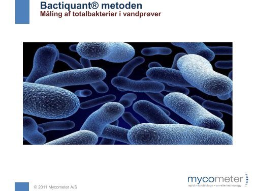Bactiquant presentation