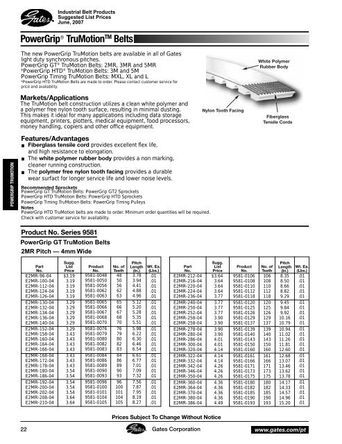 Gates 2007 Industrial Power Transmission Systems - Tecnica ...