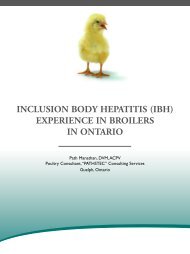 inclusion body hepatitis (ibh) - Canadian Poultry Consultants Ltd