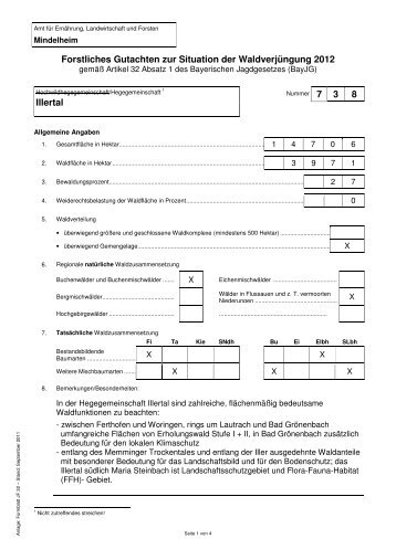 Formblatt-JF 32_Forstliches-Gutachten-738-Illertal-x - Amt für ...